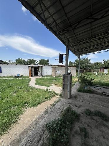 тынчтык ж м: 15 соток, Бизнес үчүн, Техпаспорт, Сатып алуу-сатуу келишими — 2