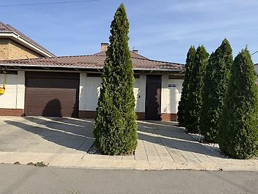 арзан гостиница бишкек: 300 м², 6 бөлмө жана андан көп, Үй-бүлөлүүлөргө — 6