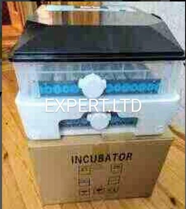 İnkubatorlar: 100 yumurta, Çin, Tam avtomat, Bütün növ quşlaq üçün, Zəmanət ilə — 4