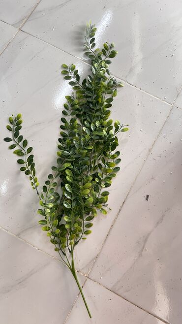 Digər ev dekoru: Depodanbi̇r başa satiş — 4