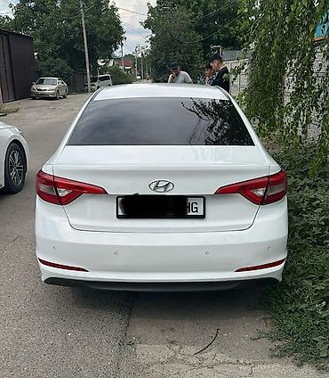 elantra 2016: Hyundai Sonata: 2016 г., 2 л, Автомат, Газ, Седан — 2