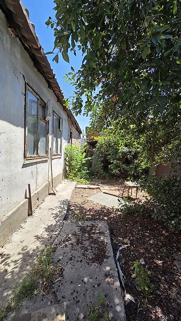 Земельные участки: 3 соток, Красная книга, Тех паспорт, Договор купли-продажи — 3