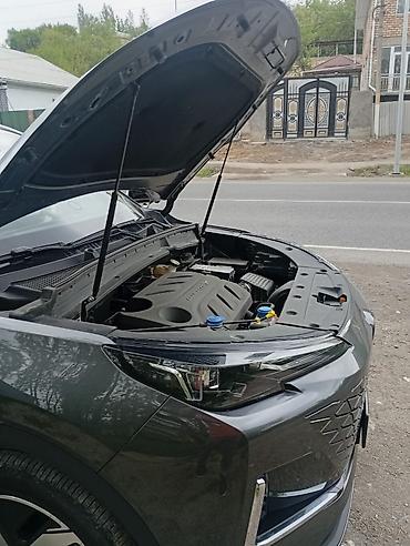 range: Амортизаторы капота Changan, Новый, Оригинал — 5