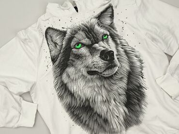 Hoodie for men, 3XL (EU 46), condition - Good