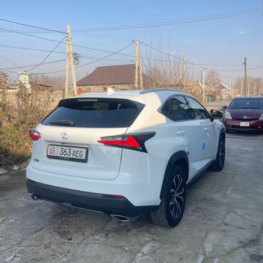 Lexus: Lexus NX: 2017 г., Кроссовер — 5