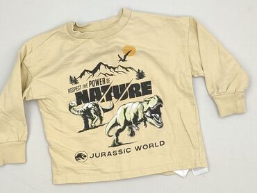 Sweatshirt, SinSay, 3-4 years, 98-104 cm, condition - Perfect