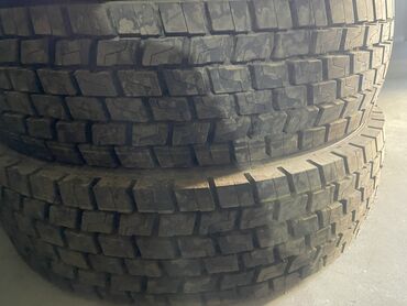 Транспорт: 295/80R22.5 ( Qabaq, Arxa) Yeni