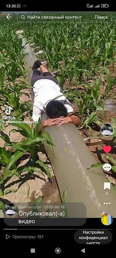 Другие системы полива: Шланги Поливной пленка Шланг паливной шланга Региондорго жонотобуз — 4