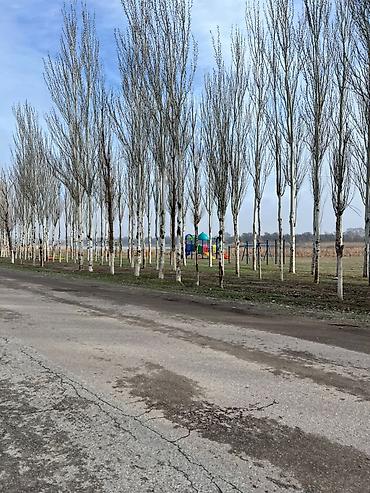 Продажа коттеджей и домов: 👉Срочно!!! Продаю дом ПСО Участок 8 соток с. Мраморная 💰62$ 📞 👈 ✅ — 5