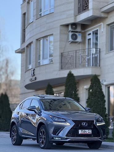 Lexus: Lexus NX: 2020 г., 2.5 л, Вариатор, Гибрид, Кроссовер — 3