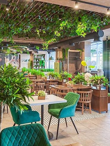 zeleniy cay: Green House Azerbaijan. Dekor interyer Kafe×restoranlar üçün — 1