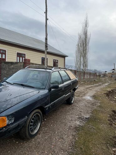 Audi: Audi 100: 1988 г., 2.3 л, Механика, Бензин, Универсал