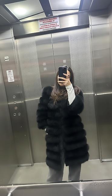 Шубалар: Шуба, Песец, Тизеден, M — 1