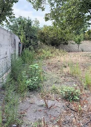 bine atciliq torpaq satilir: 10 sot, Tikinti, Barter mümkündür, Kupça (Çıxarış) — 1