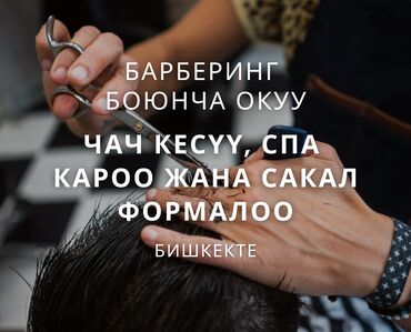 кресло парикмахерское бу: Курсы | Курс парикмахеров