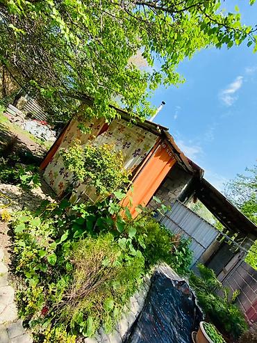 Продажа коттеджей и домов: 🏡 Продаётся тёплый и ухоженный дом в г. Бишкек, район Маевка — 24