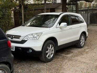 Honda: Honda CR-V: 2008 г., 2.4 л, Автомат, Бензин, Внедорожник