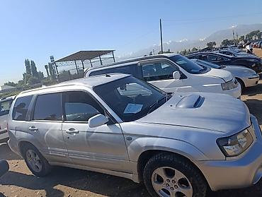 на акорд сл7: Subaru Forester: 2004 г., Автомат, Универсал — 1