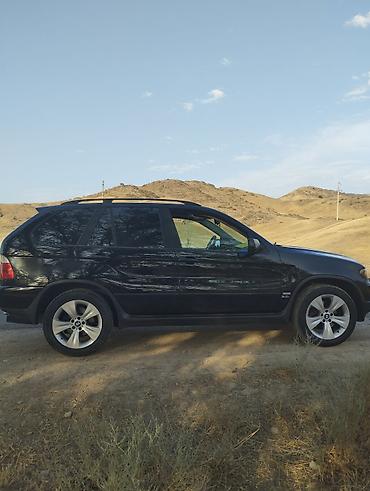 BMW: BMW X5: 2004 г., 3 л, Автомат, Бензин, Внедорожник — 3