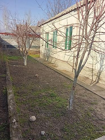 Продажа коттеджей и домов: Продам дом село Манас, участок 24соток хоз постройки баня сарай — 13