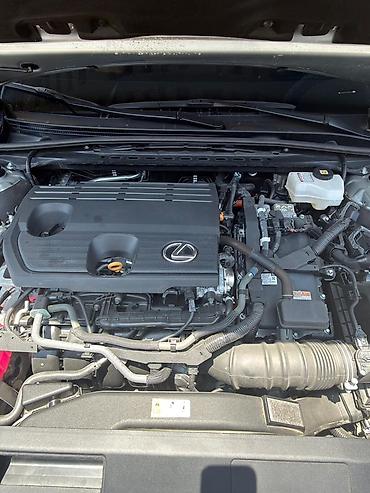 губа соната: Lexus ES: 2025 г., Автомат, Гибрид, Седан — 5