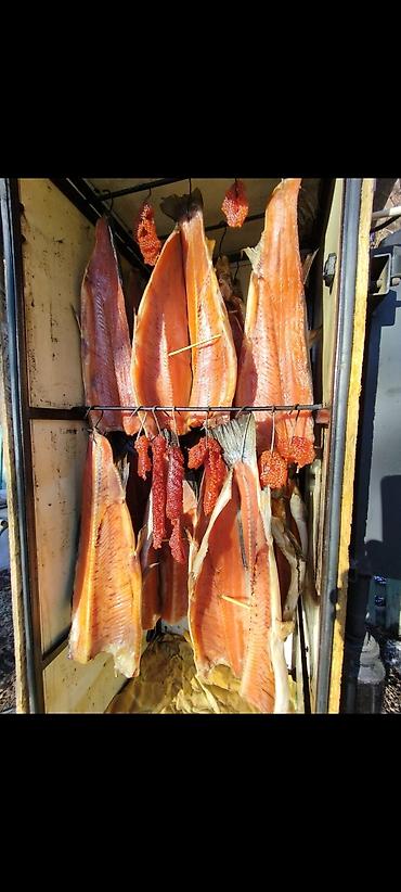 Другая рыбная продукция: Продаю холодного и горячего копчения Форель, домашнего приготовления — 2