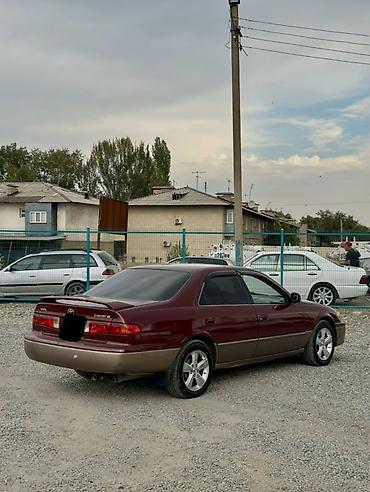 Унаа сатуу: Toyota Camry: 2000 г., 2.2 л, Автомат, Бензин, Седан — 4