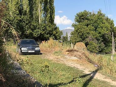 w124 багажник: Mercedes-Benz W124: 1994 г., 3.2 л, Автомат, Бензин, Седан — 6