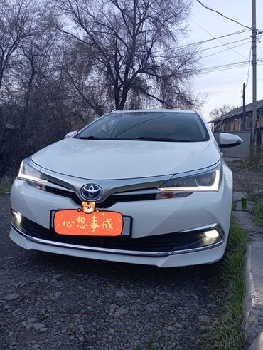 экран для машины: Toyota Corolla: 2019 г., 1.8 л, Вариатор, Гибрид, Седан