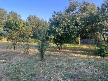 Torpaq sahələrinin satışı: 10 sot, Tikinti, Mülkiyyətçi, Kupça (Çıxarış) — 8