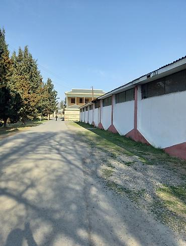 arenda otaq: İcarəyə/verilişə uyğun qeyri-yaşayış obyekt – — 1