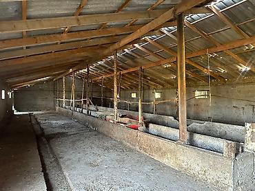 Продажа сельхоз предприятий: Продается Кошар на земельном участке площадью 1000,0 кв.м. Имеется at lalafo.kg — 5 Продажа сельхоз предприятий: Продается Кошар на земельном участке площадью 1000,0 кв.м. Имеется — 5