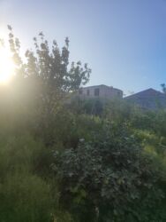 Bağ və bostan üçün digər məhsullar: Qobuda arkodan 1km metir məsafədə asvaltdan 20 metir içəridir 8 — 7