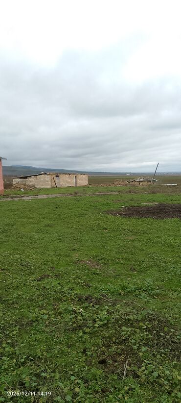 Həyət evləri və villaların satışı: 4 otaqlı, 150 kv. m, Kredit yoxdur, Təmirsiz — 13