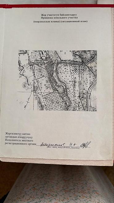 куплю пруд: 600 соток, Для бизнеса, Красная книга, Тех паспорт, Договор купли-продажи — 4