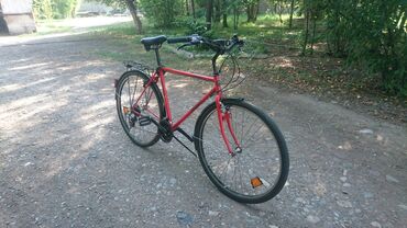 гантел бу: AZ - City bicycle, Башка бренд, Велосипед алкагы L (172 - 185 см), Болот, Германия, Колдонулган