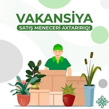 Əməkdaş axtarışı (vakansiyalar): Satış meneceri tələb olunur, Təcrübəsiz — 1