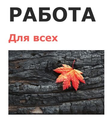 жумуш кассир: Подработка на дому! Сетевой маркетинг. Для домохозяек, студентов, для