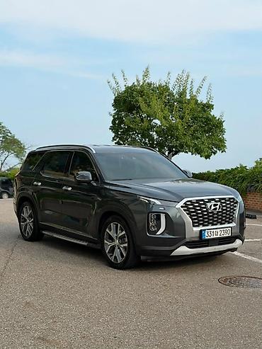 dongfeng aeolus e70: Hyundai Palisade: 2020 г., 2.2 л, Автомат, Дизель, Кроссовер — 6