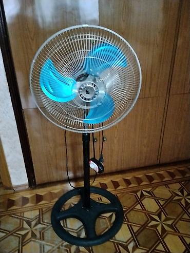 Ventilyator Yeni, Döşəməüstü, Pərli, Kredit yoxdur lalafo.az -da Ventilyator Yeni, Döşəməüstü, Pərli, Kredit yoxdur