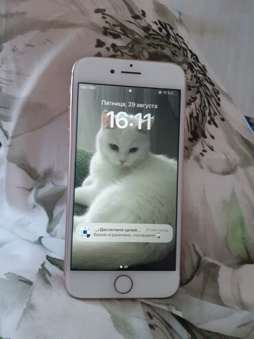 оригинал зарядка айфон цена бишкек: IPhone 8 Plus, Алтын