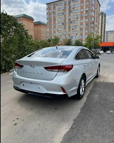 дн 8 соната 2019: Hyundai Sonata: 2019 г., 2 л, Автомат, Газ, Седан — 3