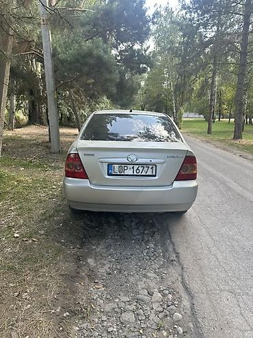windom 2001: Toyota Corolla: 2005 г., 1.6 л, Автомат, Седан — 1