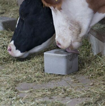 Qidalandırıcılar: Yem qabı, Yem üçün, Heyvanlar üçün, Rayonlara çatdırılma, Ünvandan götürmə, Ödənişli çatdırılma — 7