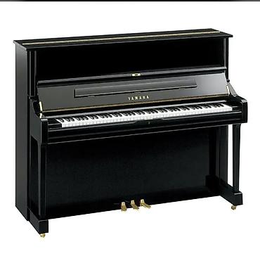 korg pedal: Belarus istehsalı piano (1961) - Akustik şvertical piano - Korpus — 1
