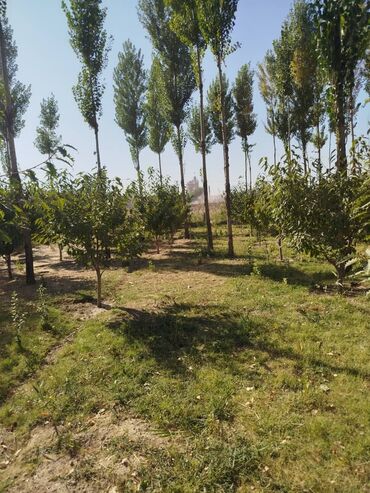 Продажа домов: Дом, 96 м², 5 комнат, Собственник — 6