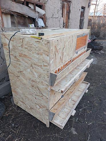 Товары и оборудование для с/х животных: Жөжөлөрго Бурдерлер Жөжө Капас Бар жөжөгө Ар кыл размер ар кыл баада at lalafo.kg — 9 Товары и оборудование для с/х животных: Жөжөлөрго Бурдерлер Жөжө Капас Бар жөжөгө Ар кыл размер ар кыл баада — 9