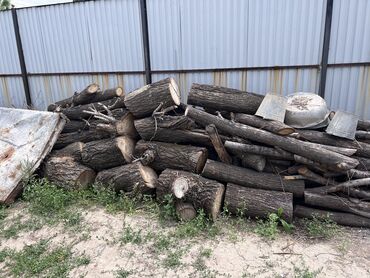 продам дрова недорого: Дрова
