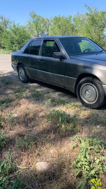 Mercedes-Benz: Mercedes-Benz 230: 1992 г., 2.3 л, Механика, Бензин, Седан — 2