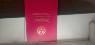 пистолет для текстура: Документ-обложка: «Свидетельство о рождении» (красная обложка с